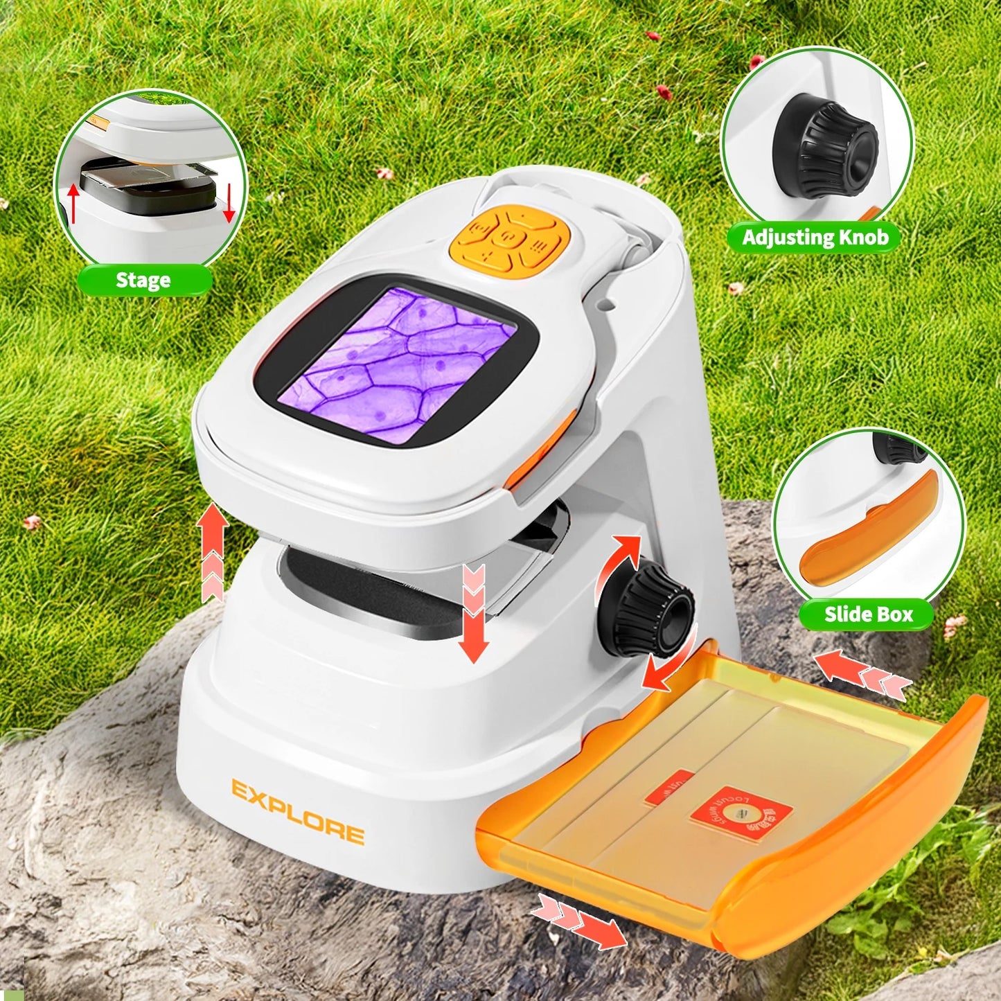 Microscope for Kids 8-12 , 2-in-1 Science Kit 100X-1000X Handheld and Fixed Kids Pocket Microscope, Portable Digital Microscope with LED, STEM Microscope Kit Toys Gifts for Boys Girls 5-7